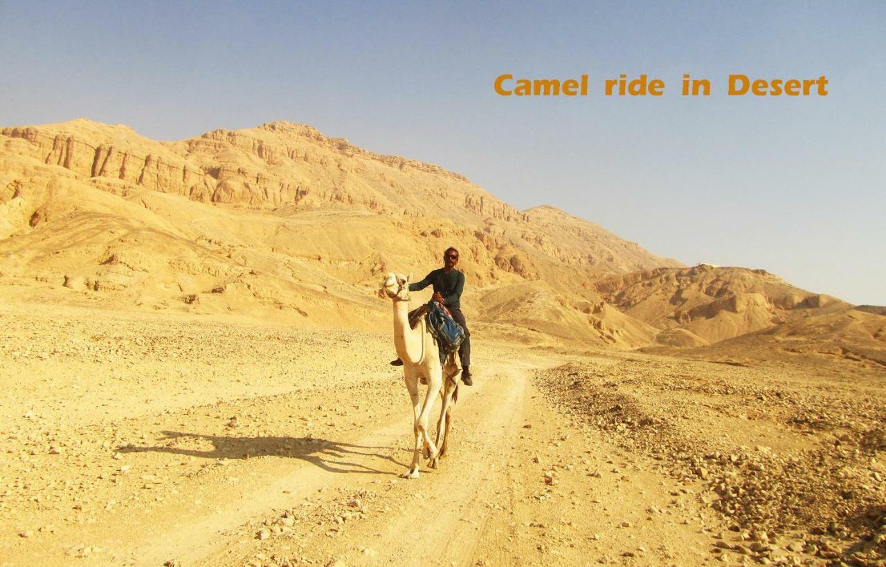 Al Salam Camp Hotell Luxor Exteriör bild