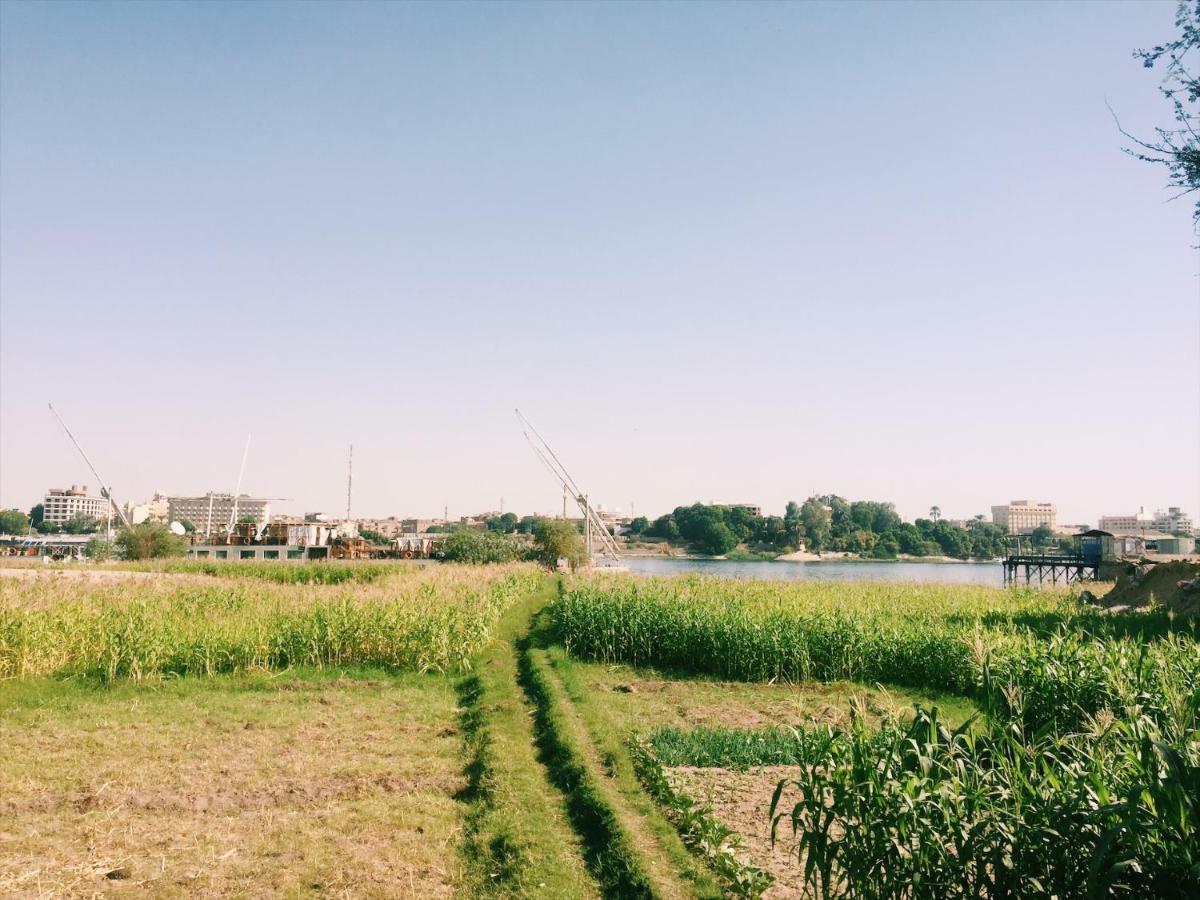 Al Salam Camp Hotell Luxor Exteriör bild